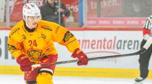 Tickets Eishockey-Match SCL Tigers