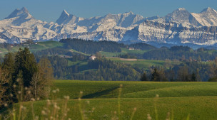 Geschäftsbericht 2024 und Offenlegung